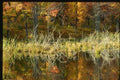 150000 Reflections A4 Photo Print