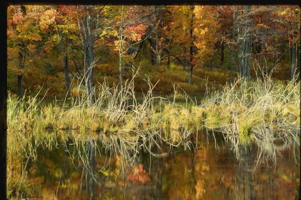 150000 Reflections A4 Photo Print