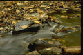 150002 Running Water A4 Photo Print