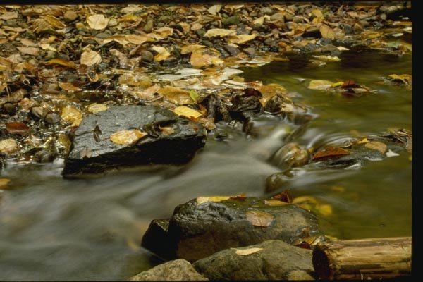 150002 Running Water A4 Photo Print