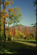 150006 Mountain View A4 Photo Print