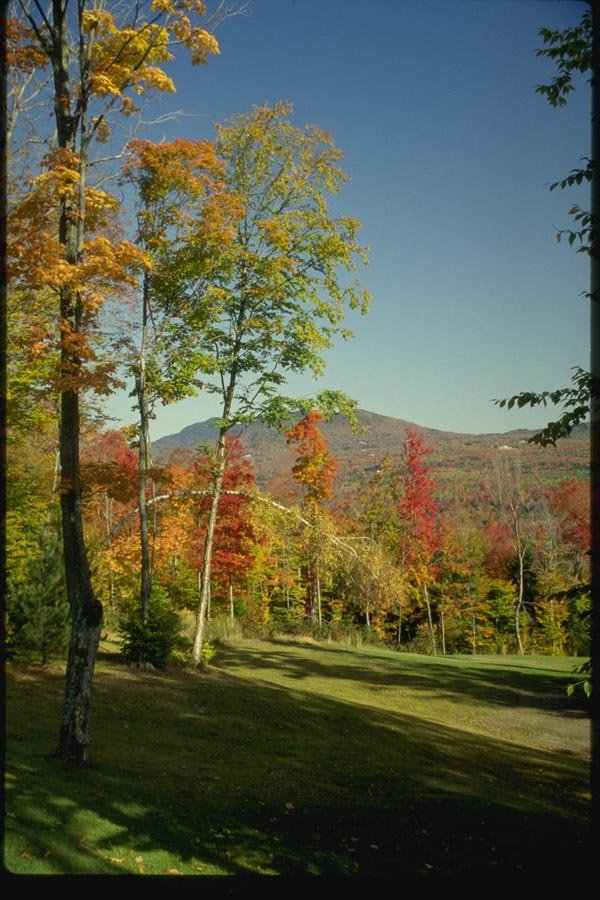 150006 Mountain View A4 Photo Print