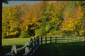 150008 Fence And Shade A4 Photo Print