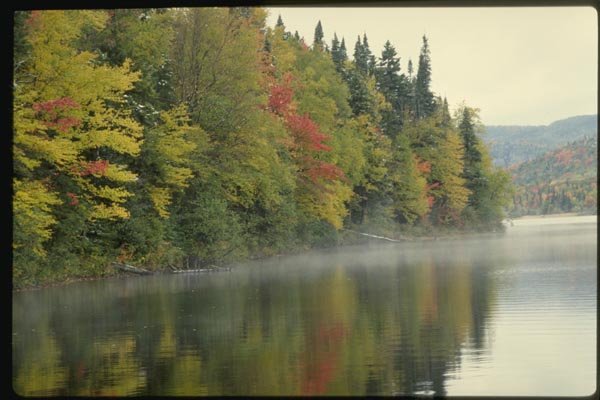 150009 Mist On The Lake A4 Photo Print