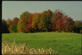 150012 Fields In Fall A4 Photo Print