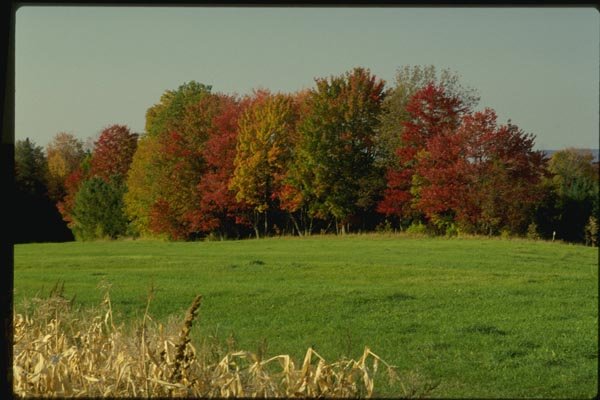 150012 Fields In Fall A4 Photo Print