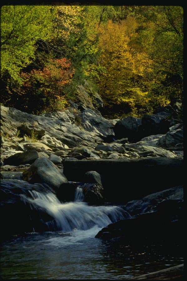 150020 Rushing Creek A4 Photo Print