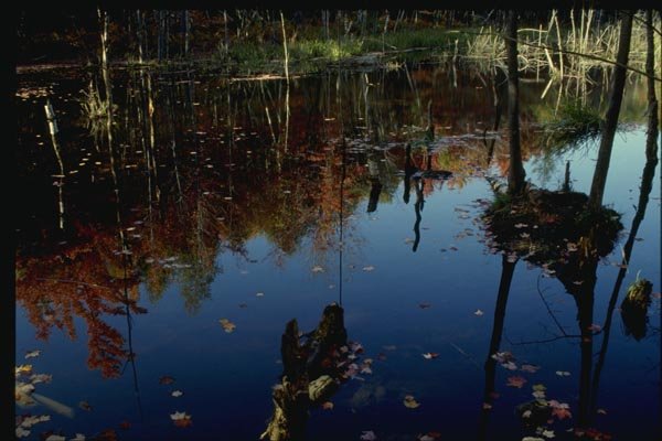 150027 Blue Pond A4 Photo Print