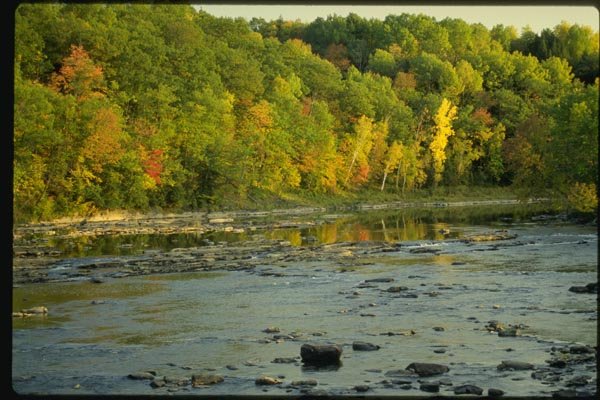 150029 Rippling Stream A4 Photo Print