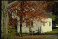150034 White Cottage A4 Photo Print