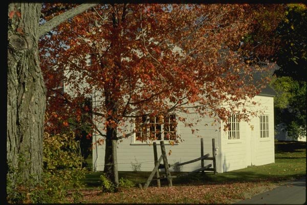 150034 White Cottage A4 Photo Print