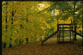 150039 Park In Fall A4 Photo Print