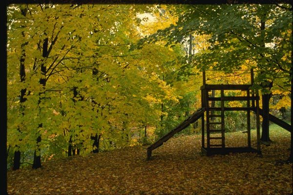 150039 Park In Fall A4 Photo Print