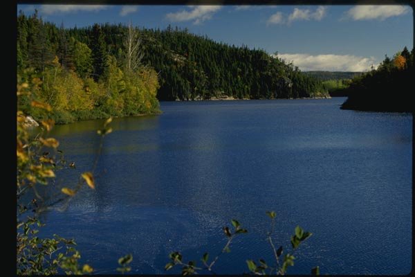 150040 View Down Lake A4 Photo Print