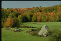 150053 Boulders In The Field A4 Photo Print