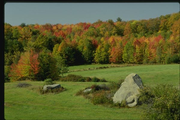 150053 Boulders In The Field A4 Photo Print