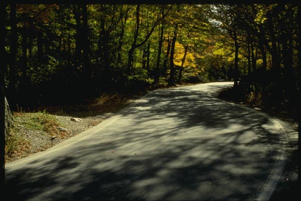 150054 Shadows On The Road A4 Photo Print