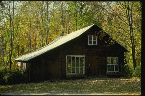 150055 A Shack In The Forest A4 Photo Print