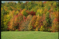 150057 Glorious Color A4 Photo Print