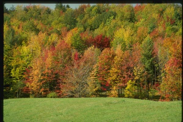 150057 Glorious Color A4 Photo Print