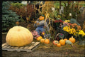 150059 Harvest Decorations A4 Photo Print