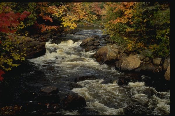 150063 Rushing Water A4 Photo Print