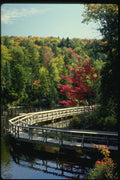150068 Wooden Walkway A4 Photo Print