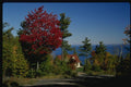 150077 House By Water A4 Photo Print