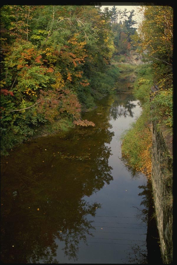 150080 River Reflections A4 Photo Print