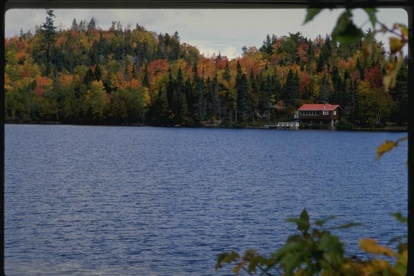 150083 Red Roof A4 Photo Print