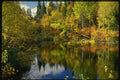 150087 Deep Woods Lake A4 Photo Print