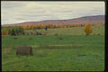 150090 Hay Bales A4 Photo Print