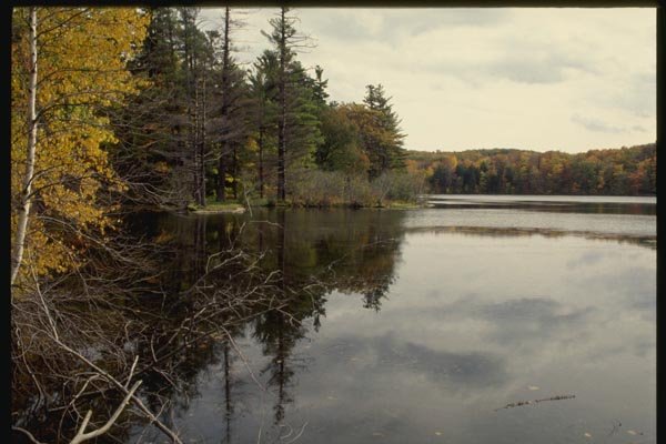 150094 A Fall Waterscape A4 Photo Print