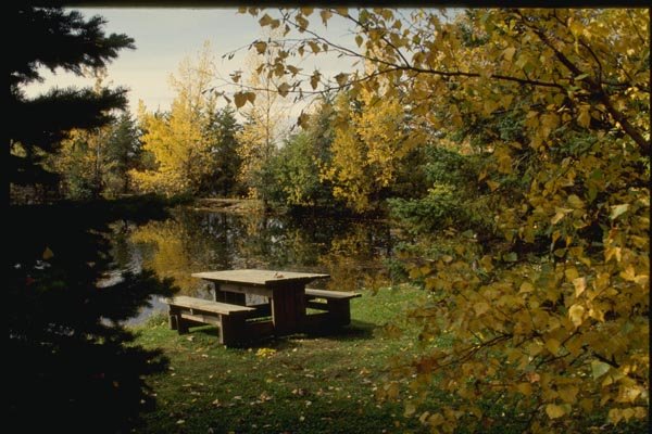150098 Picnic Table A4 Photo Print