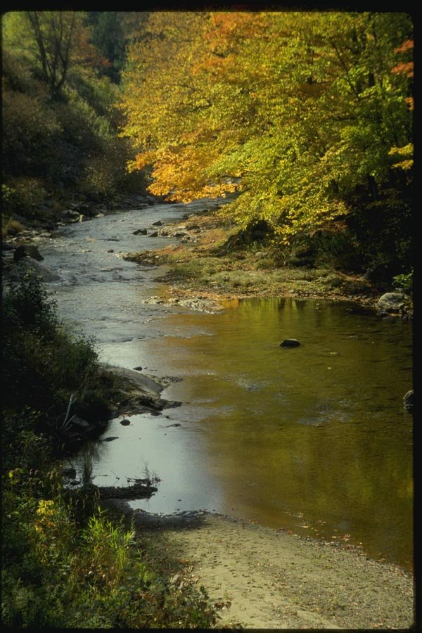 150099 Shallow Creek A4 Photo Print