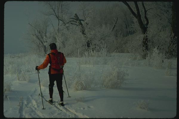 151010 Cross country Skier A4 Photo Print