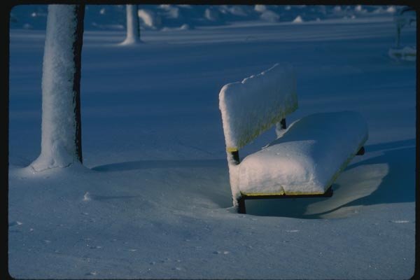 151013 Park Bench A4 Photo Print