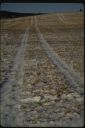 151027 Vehicle Tracks Through Field A4 Photo Print