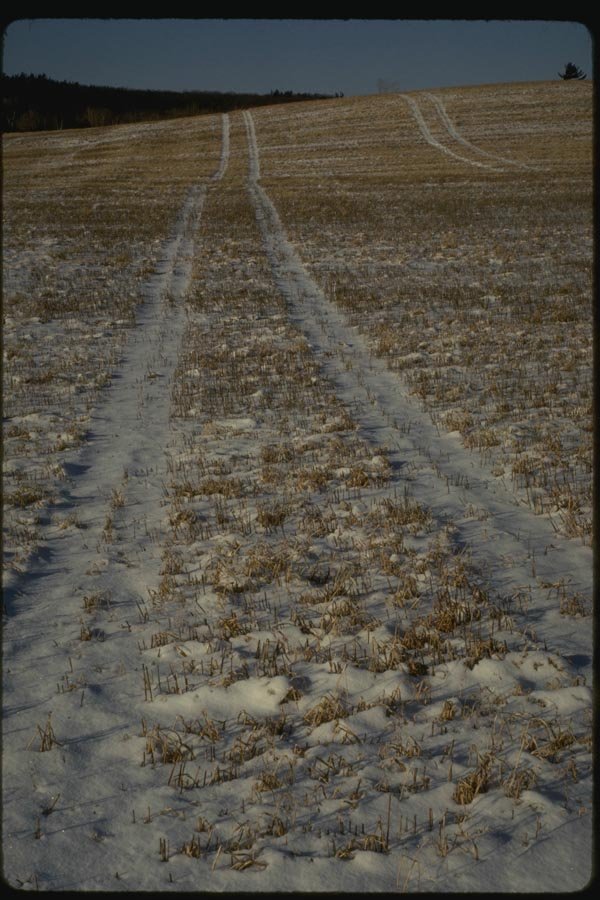 151027 Vehicle Tracks Through Field A4 Photo Print
