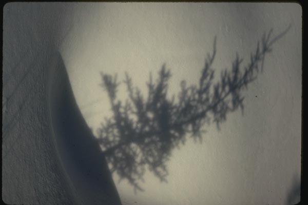 151028 Shadow On Snow A4 Photo Print