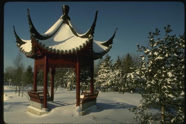 151034 Chinese Garden, Montreal A4 Photo Print