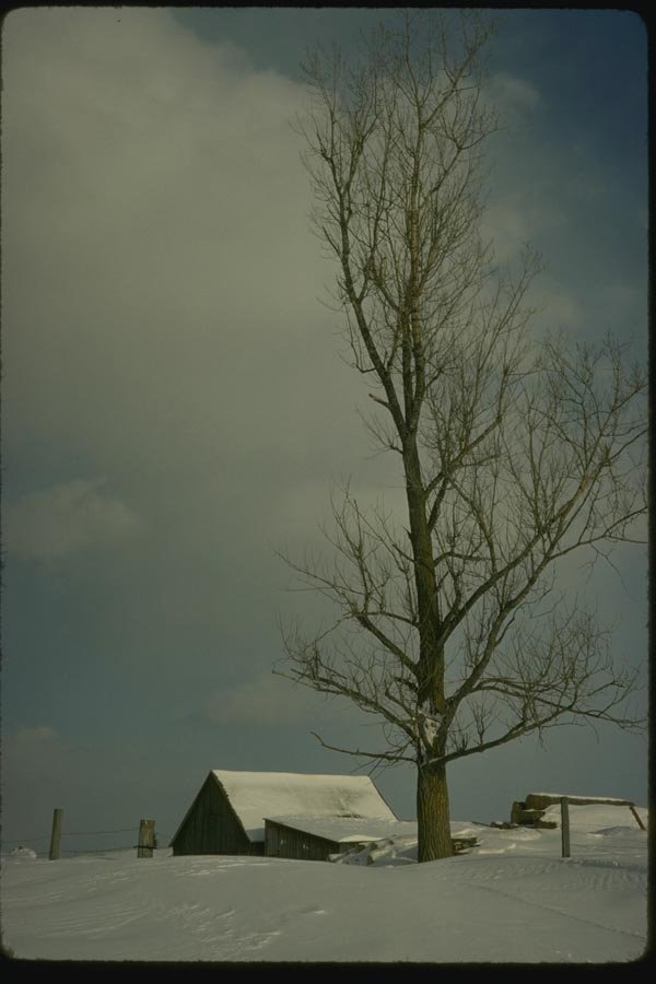 151040 Barn Rooftops In Snow A4 Photo Print