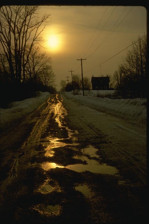 151043 Country Road In Spring A4 Photo Print