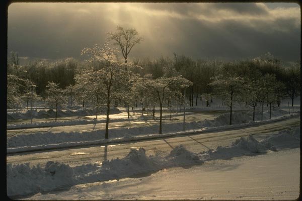 151044 Mt. Royal After Ice A4 Photo Print