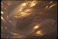 151052 Frost Pattern On Window A4 Photo Print