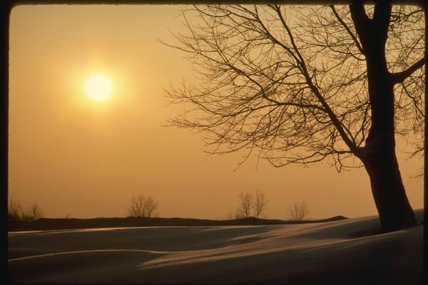151056 Late Afternoon Winter A4 Photo Print