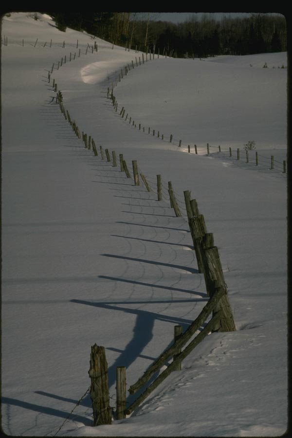 151063 Winter Landscape A4 Photo Print