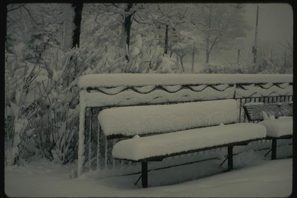 151078 Snow Covered Bench And Fence A4 Photo Print