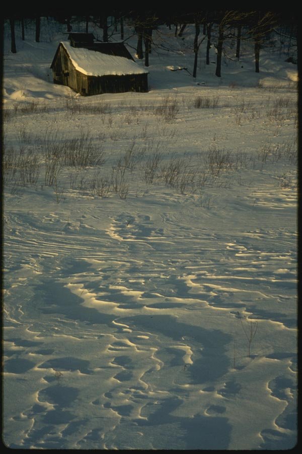 151079 Maple Sugar Cabin A4 Photo Print