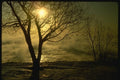 151084 Winter Sunrise A4 Photo Print